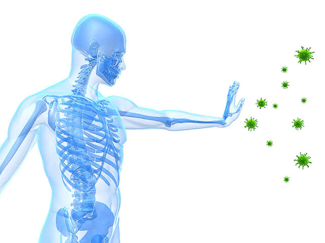 Diagram representation of immune system 