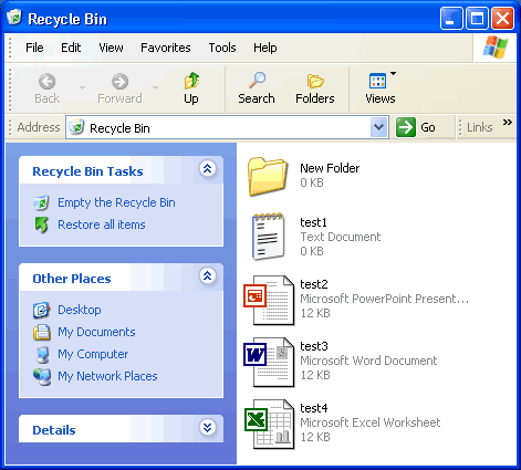 Recycle bin options