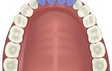 Different teeth names