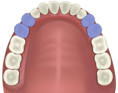 Teeth names