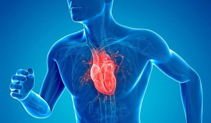 Regular cardiovascular exercise aids healthy heart 