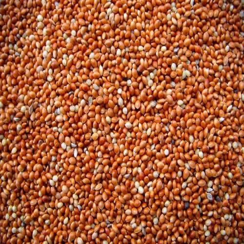 Grains