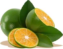 Limes