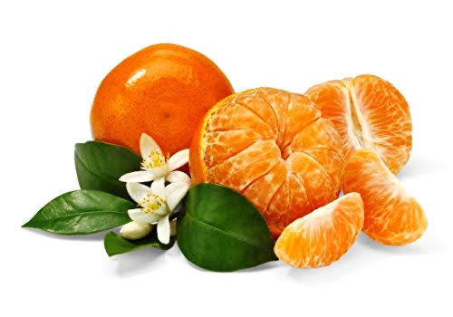 Honey tangerines 