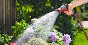 RULES OF WATERING GARDENS