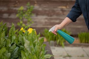 WEED CONTROL FOR HOME GARDEN