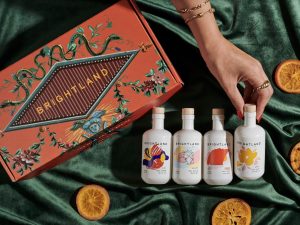 GIFTING IDEAS FOR HOUSE WARMING