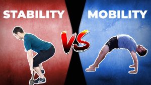 MOBILITY AND STABILITY