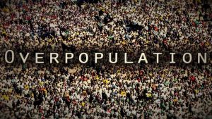 EFFECTS OF OVERPOPULATION