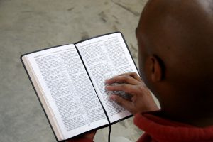 WHY STUDY THE BIBLE