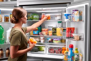 REFRIGERATOR BENEFITS IN THE HOUSE