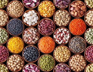 Beans: Types and Uses