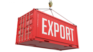 DISADVANTAGES OF EXPORTING GOODS