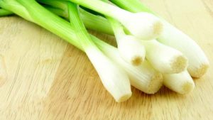 HEALTH GAINS OF SPRING ONION