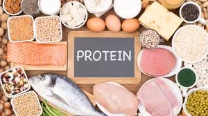 Protein