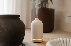 RELEVANCE OF AROMA DIFFUSER 