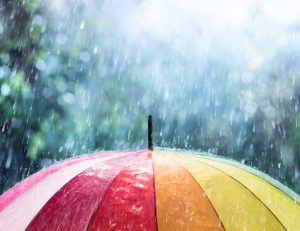 ADVANTAGES AND DISADVANTAGES OF RAIN