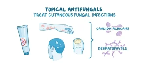 EFFECTS OF ANTIFUNGAL MEDICS