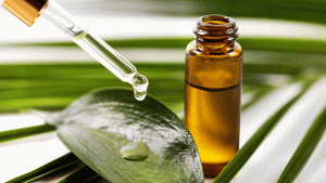 USES AND BENEFITS OF TEA TREE OIL