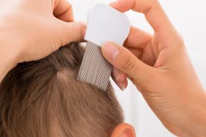 TREATMENT OF HEAD LICE