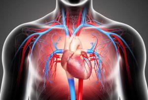 SIGNS OF CONGESTIVE HEART FAILURE