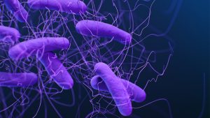 CLOSTRIDIUM DIFFICILE