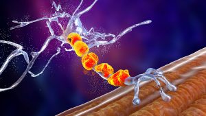 MOTOR NEURON DISEASE