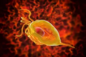 SIGNS OF TRICHOMONIASIS