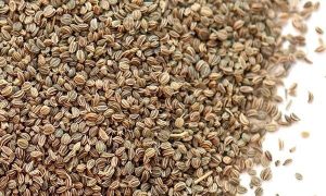 CELERY SEEDS BENEFITS