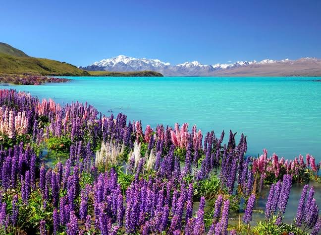 New zealand