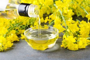 ADVANTAGES OF USING CANOLA OIL