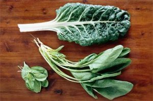 ENGLISH SPINACH