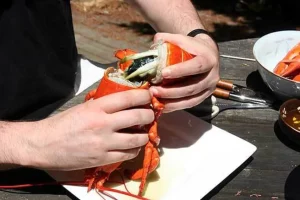 Advantages of eating lobsters