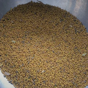 DIJON MUSTARD SEEDS