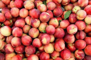 ADVANTAGES OF NECTARINES