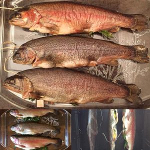 ADVANTAGES OF SMOKED TROUT