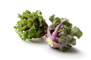 KALETTES
