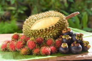 BENEFITS OF MANGOSTEEN