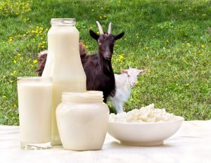 GOAT MILK BENEFITS