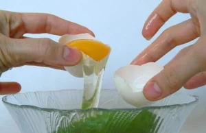 EGG YOLK SKIN IMPACTS