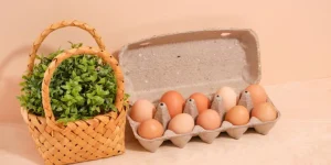ESSENTIALS OF EGGS