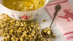 EFFECTIVE POWERS OF CHAMOMILE