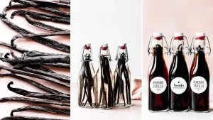 VANILLA EXTRACT GUIDELINES