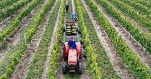 AGRICULTURE SCIENCE AS A CAREER