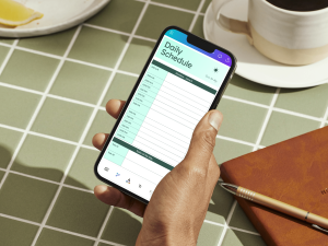 TIPS FOR CREATING DAILY SCHEDULE