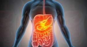 Nutrition value of pears