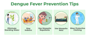 WHAT IS DENGUE FEVER?