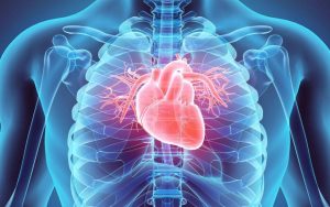 GUAVA TREE MEDICINAL RELEVANCE