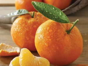 HONEY TANGERINES CITRUS