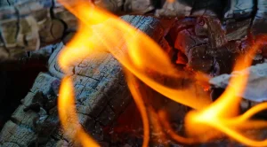 Off! deep woods insect repellent